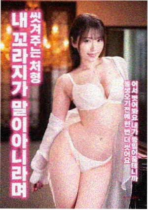 极品家丁小说封面